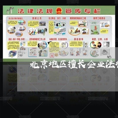 北京地区擅长企业法律顾问