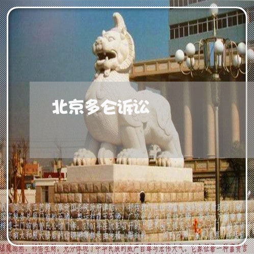 北京多仑诉讼/2023031765523