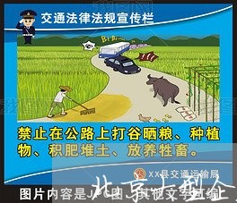 北京大型企业法律顾问团队