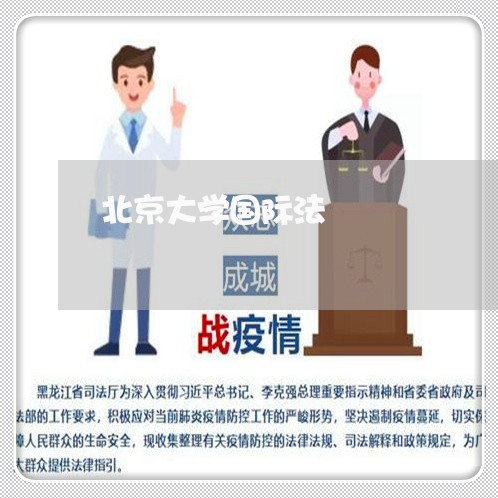 北京大学国际法