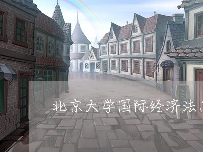 北京大学国际经济法怎样样