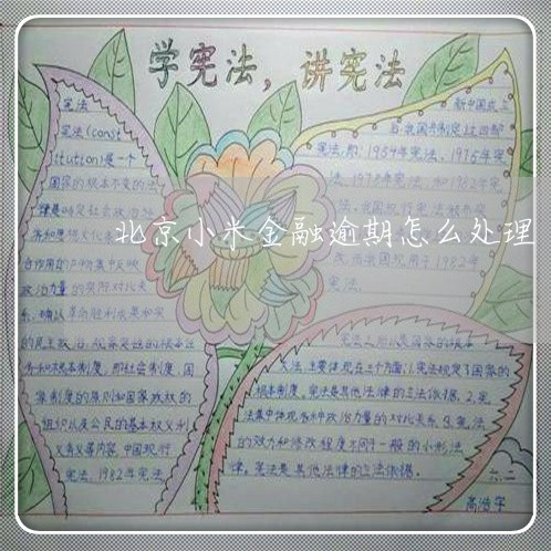 北京小米金融逾期怎么处理
