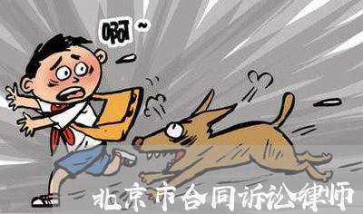 北京市合同诉讼律师 北京市合同诉讼律师