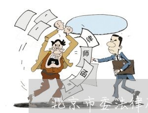 北京市委法律顾问简历