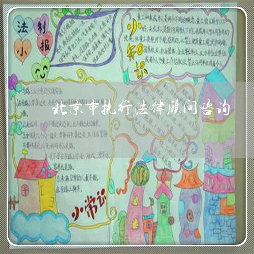 北京市执行法律顾问咨询/2023061970483