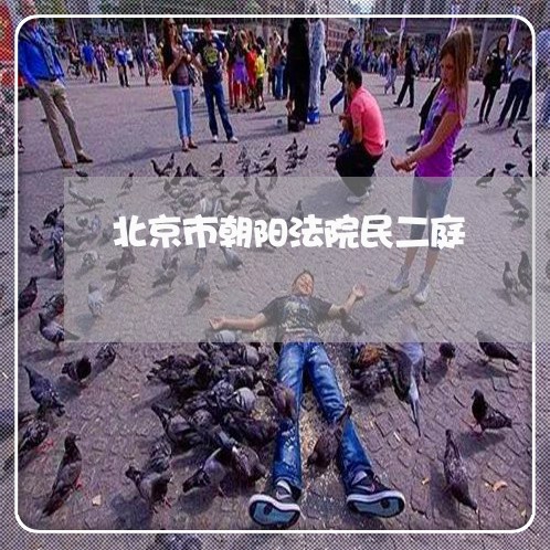 北京市朝阳法院民二庭 北京市朝阳法院民二庭