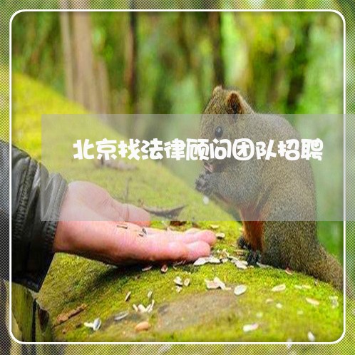 北京找法律顾问团队招聘/2023061915937