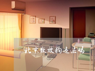 北京散放狗违法吗