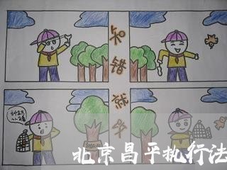 北京昌平执行法律顾问专职 北京昌平执行法律顾问专职