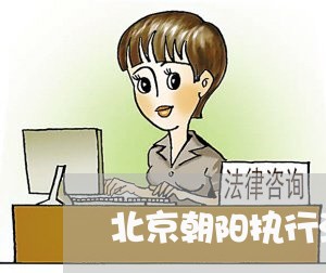 北京朝阳执行法律顾问咨询/2023061828503