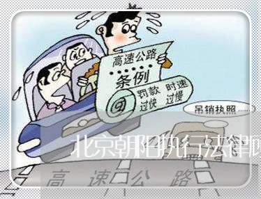北京朝阳执行法律顾问预约/2023061747369