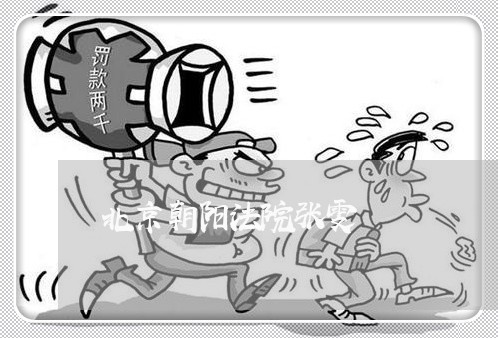 北京朝阳法院张雯 北京朝阳法院张雯