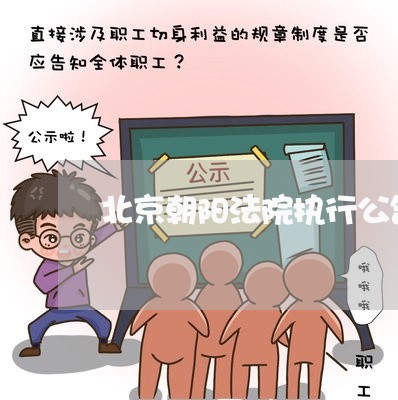 北京朝阳法院执行公告 北京朝阳法院执行公告