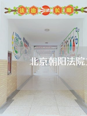北京朝阳法院立案管辖