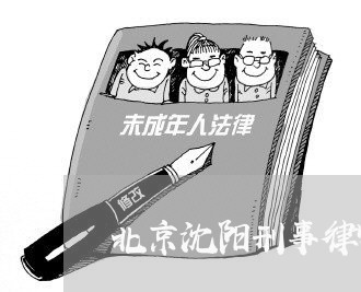 北京沈阳刑事律师多少钱/2023031793749