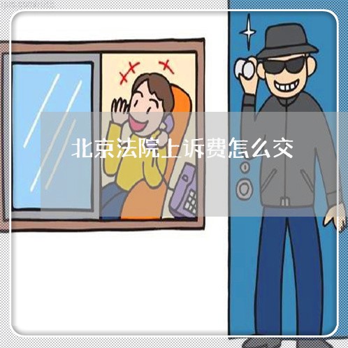 北京法院上诉费怎么交