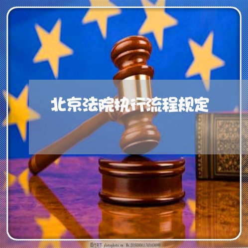 北京法院执行流程规定