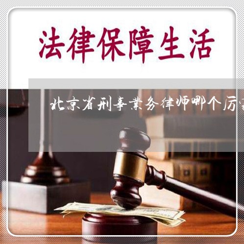 北京省刑事业务律师哪个厉害/2023031700591