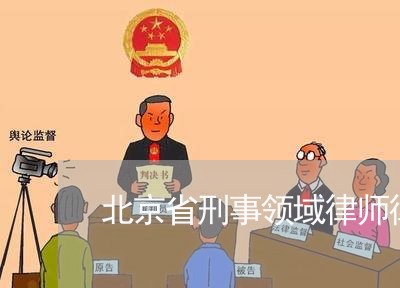 北京省刑事领域律师律所/2023031704960