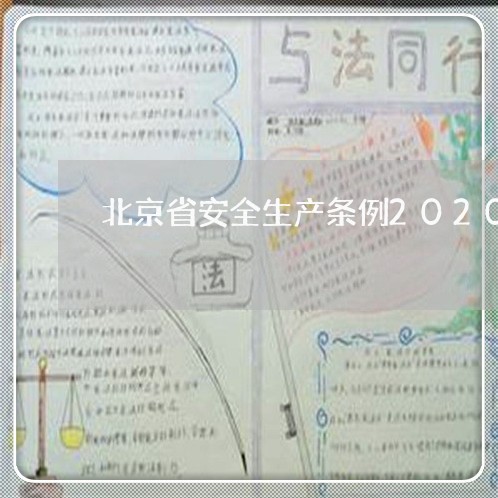 北京省安全生产条例2020版/2023031751714