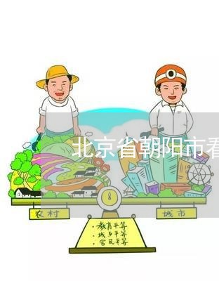 北京省朝阳市看守所归司法吗/2023031662713