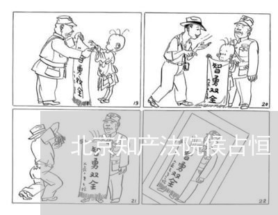 北京知产法院侯占恒 北京知产法院侯占恒
