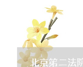 北京笫二法院申理陈海涛一案
