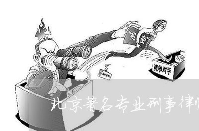 北京著名专业刑事律师