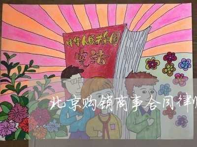 北京购销商事合同律师咨询/2023031759202