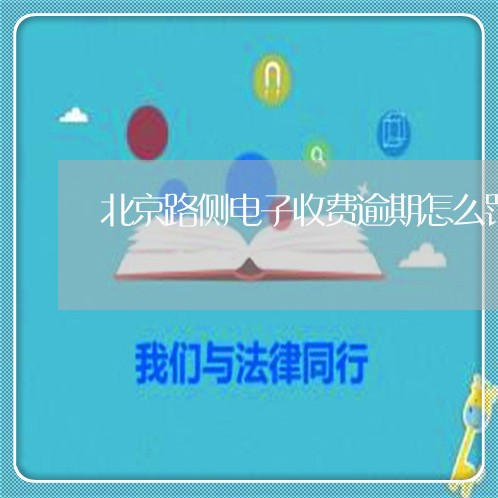 北京路侧电子收费逾期怎么罚款