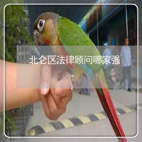 北仑区法律顾问哪家强/2023061738260