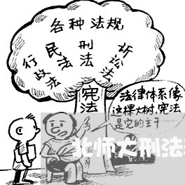 北师大刑法和中国政法