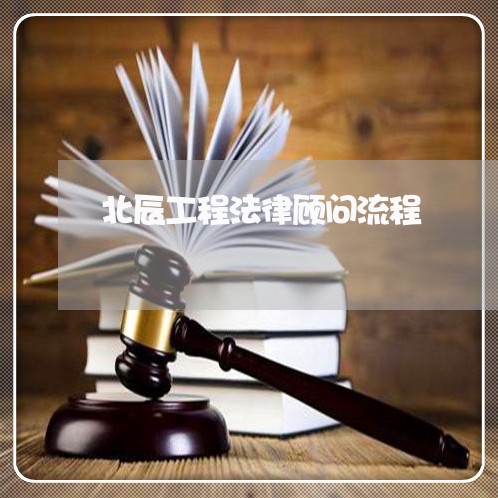 北辰工程法律顾问流程/2023061794837