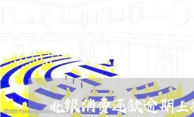 北银消费还款逾期上征信吗/2023032572604