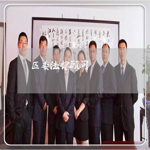 区委法律顾问