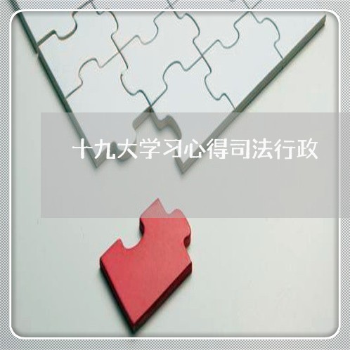 十九大学习心得司法行政