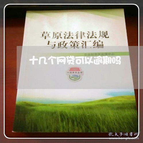 十几个网贷可以逾期吗/2023120436249