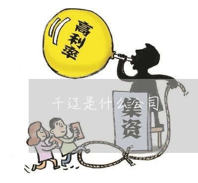 千辽是什么公司
