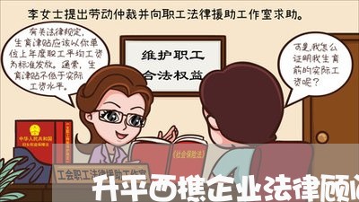升平西樵企业法律顾问/2023061938481 升平西樵企业法律顾问/2023061938481