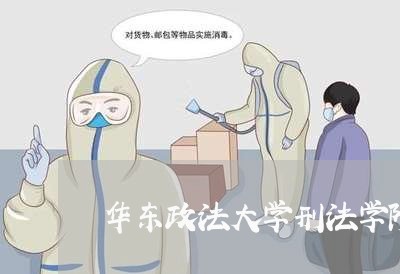 华东政法大学刑法学院