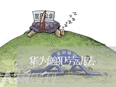 华为触犯劳动法 华为触犯劳动法