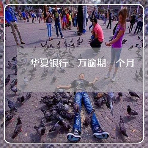 华夏银行一万逾期一个月 华夏银行一万逾期一个月