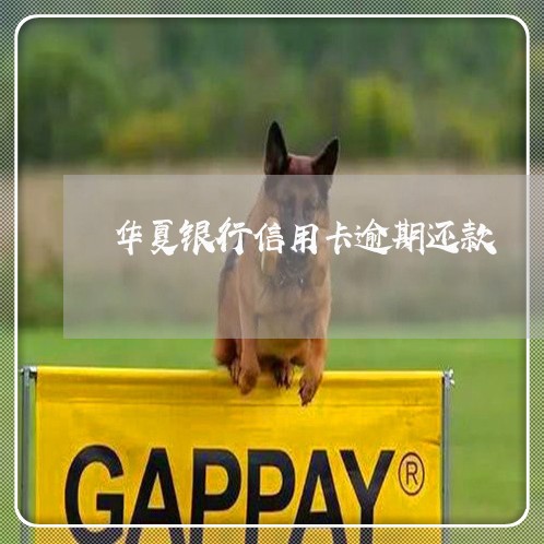 华夏银行信用卡逾期还款 华夏银行信用卡逾期还款