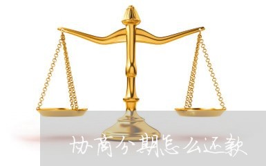 协商分期怎么还款/2023110631816