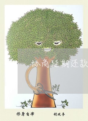 协商延期还款详情描述/2023110714926