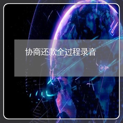 协商还款全过程录音/2023110939503