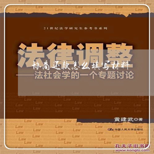 协商还款怎么填写材料/2023070827049