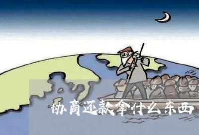 协商还款拿什么东西/2023110748258