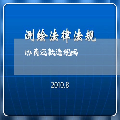 协商还款违规吗/2023110690515