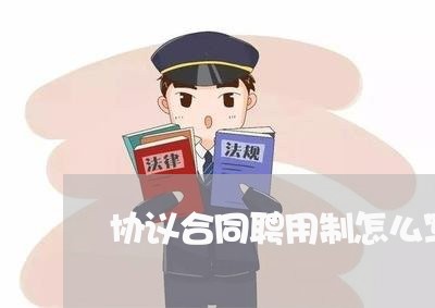 协议合同聘用制怎么写简历/2023041626140